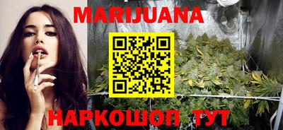 сатива Кулебаки