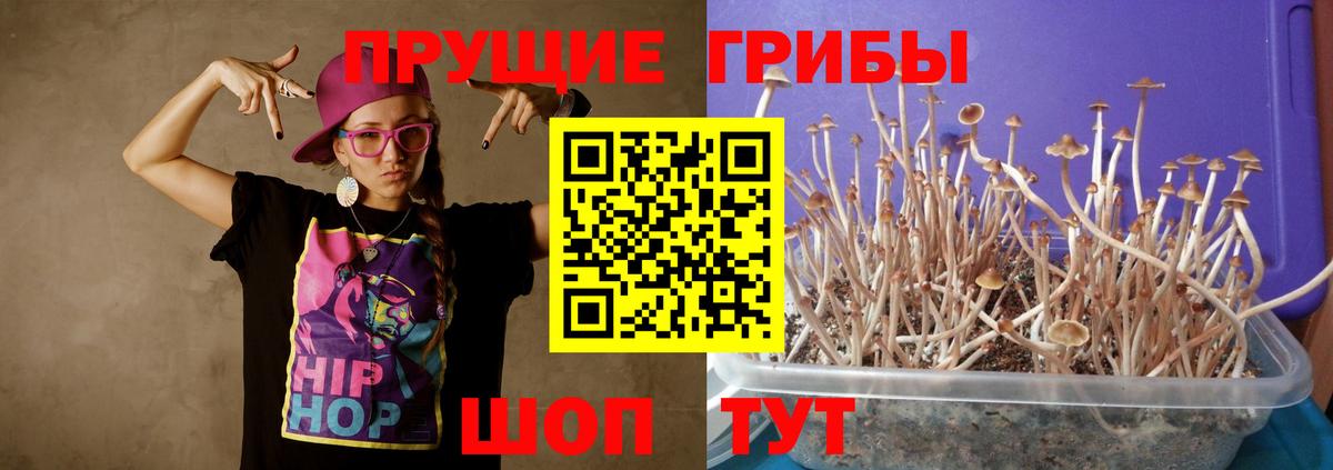 Псилоцибиновые грибы MAGIC MUSHROOMS Елизово