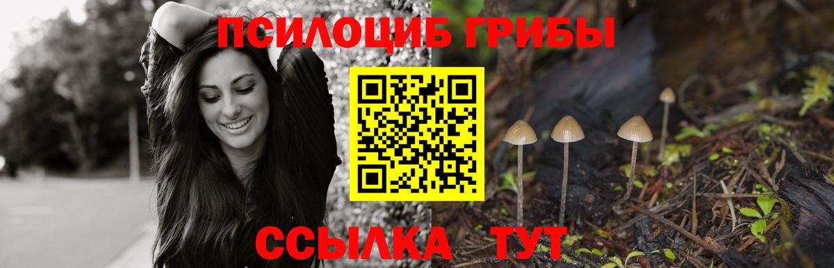 купить  цена  Вход с VPN  Елизово  Галлюциногенные грибы Psilocybine cubensis  Галлюциногенные грибы мухоморы 
